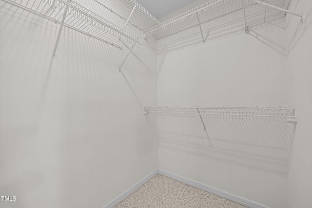 spacious closet featuring carpet flooring