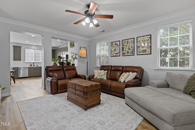 living area with a ceiling fan, visible vents, crown molding, and light wood finished floors