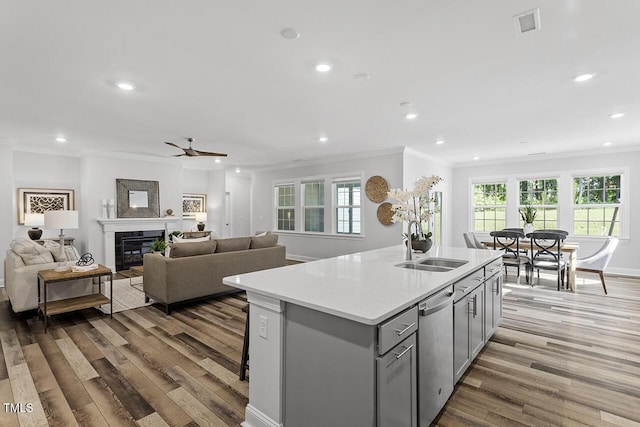 kitchen featuring stainless steel dishwasher, an island with sink, wood finished floors, and gray cabinetry