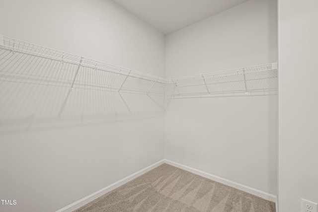 walk in closet featuring carpet flooring