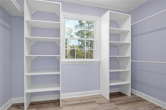 spacious closet with wood finished floors