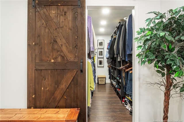 walk in closet featuring a barn door and wood finished floors