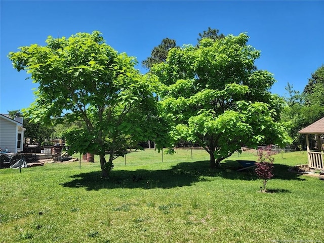 view of yard featuring fence