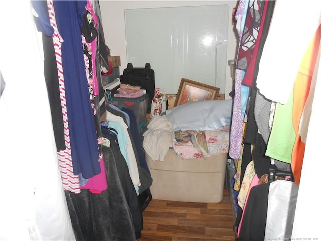 spacious closet featuring wood finished floors