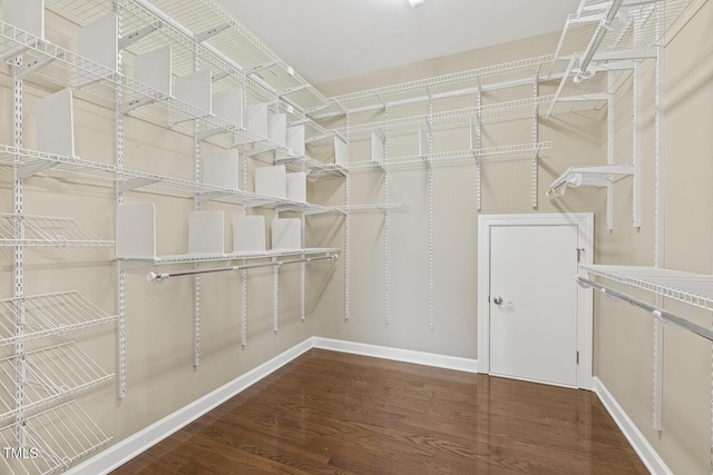 walk in closet featuring wood finished floors