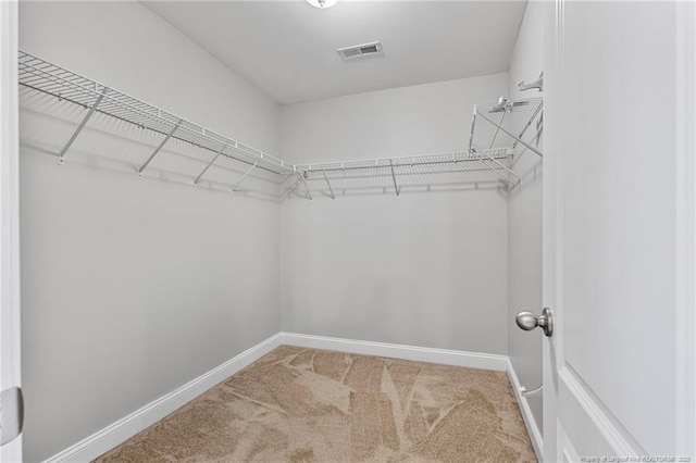 803 Equestrian Way, Raeford, NC 28376 - spacious closet with carpet