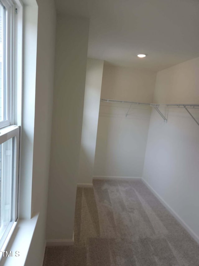 28 Longdale Dr, Graham, NC 27253 - walk in closet featuring carpet flooring