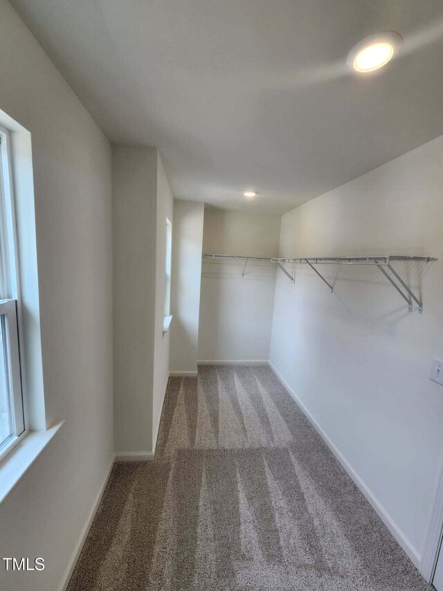 28 Longdale Dr, Graham, NC 27253 - walk in closet with carpet floors