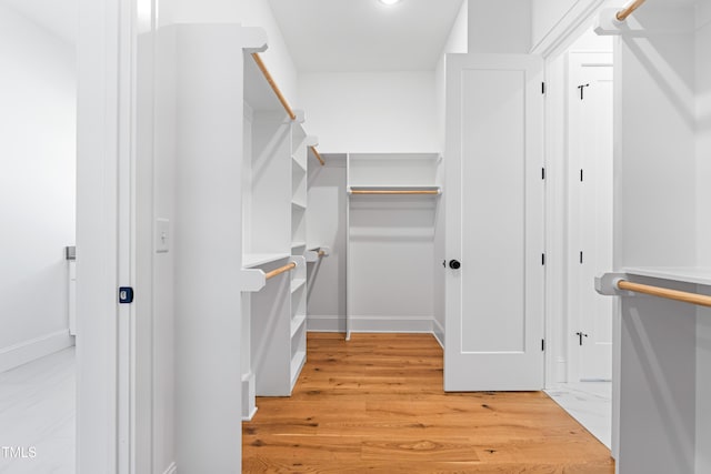 spacious closet featuring light wood-style flooring