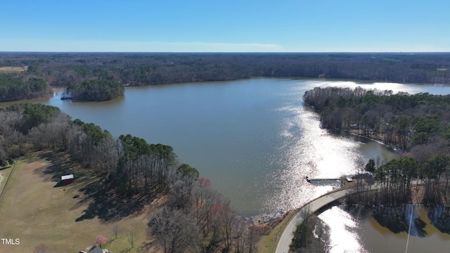 drone / aerial view featuring a water view and a view of trees