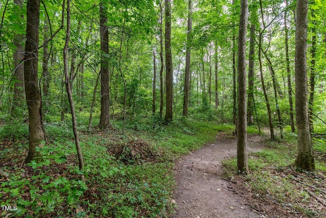 view of nature featuring a view of trees