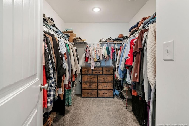 walk in closet featuring carpet