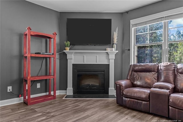 living area with a fireplace with flush hearth, baseboards, and wood finished floors