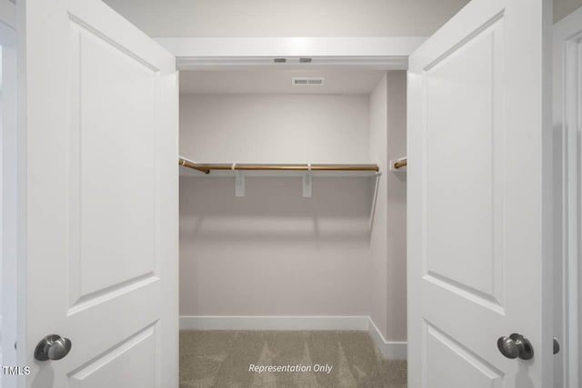 spacious closet with carpet