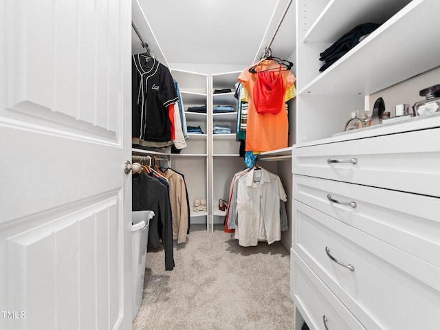 walk in closet with carpet floors