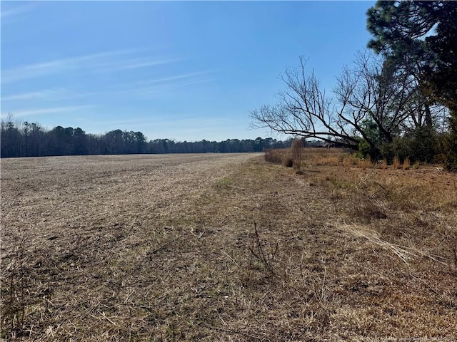 view of yard with a rural view