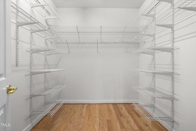 walk in closet featuring wood finished floors