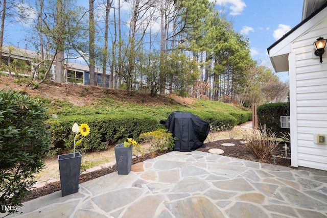 view of patio featuring a grill