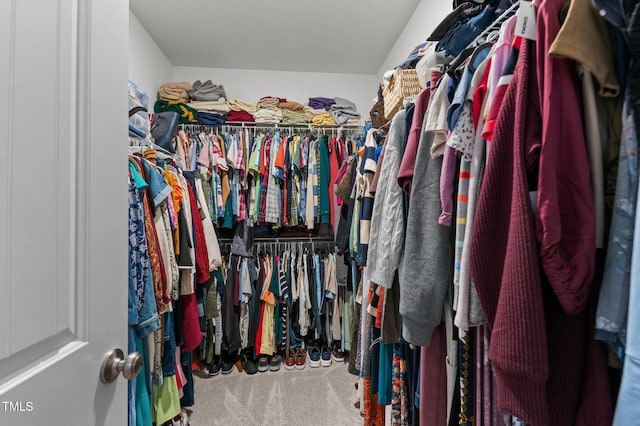 walk in closet featuring carpet floors