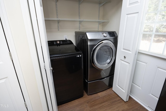 clothes washing area featuring dark wood-style floors, laundry area, and separate washer and dryer