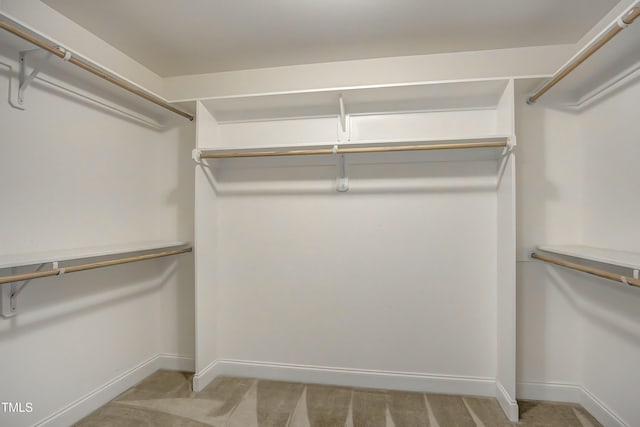 spacious closet with carpet flooring