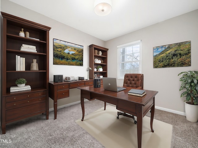 office featuring light carpet and baseboards