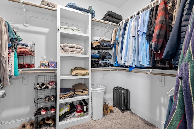 walk in closet featuring carpet