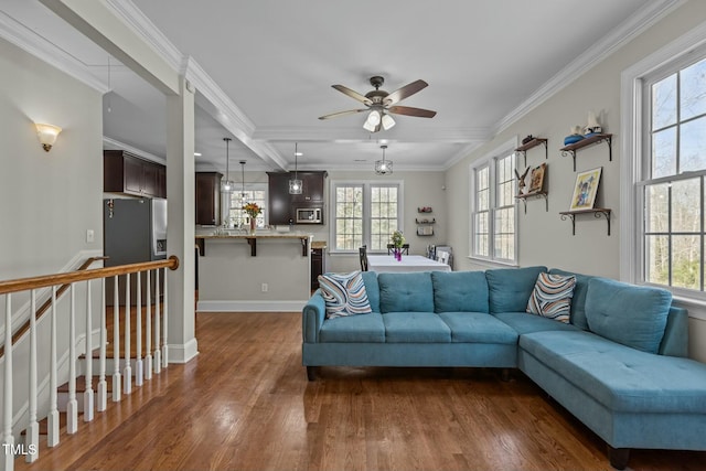 living room with ceiling fan, dark wood-style flooring, a wealth of natural light, and ornamental molding