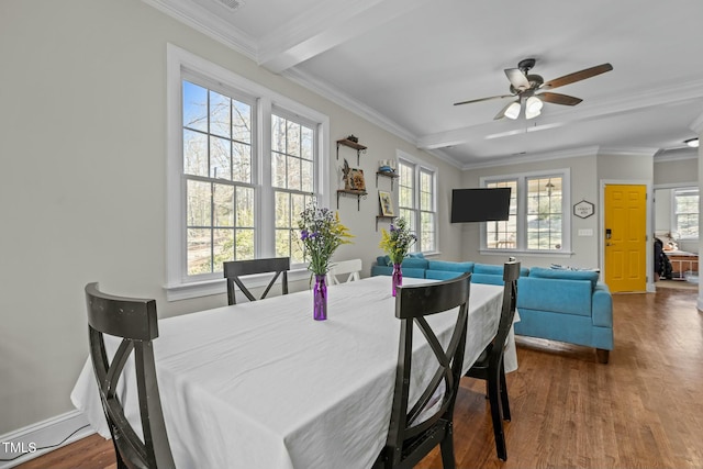 dining space featuring a healthy amount of sunlight, wood finished floors, and ornamental molding