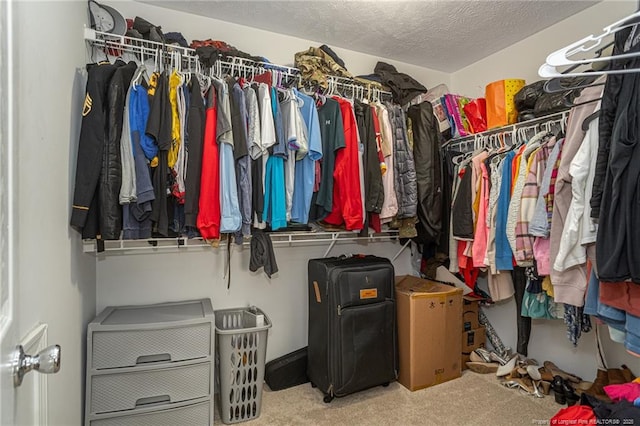 walk in closet with carpet floors