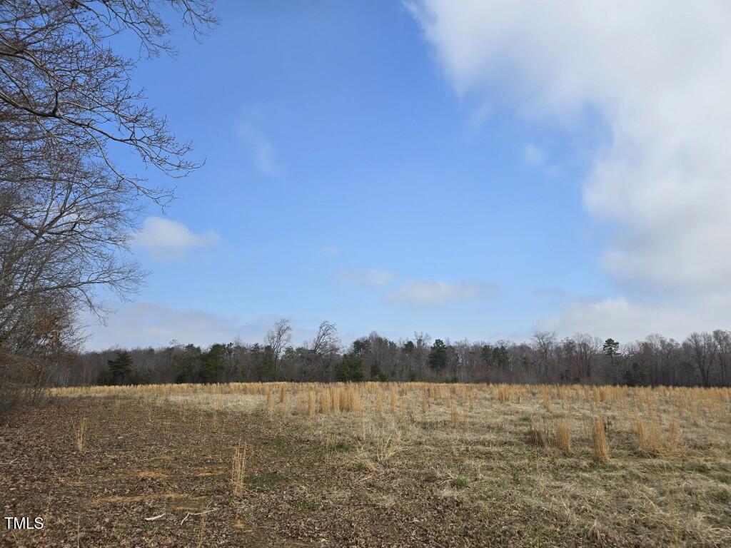 TractF Antioch Church Road, Timberlake, NC 27583 - photo 3