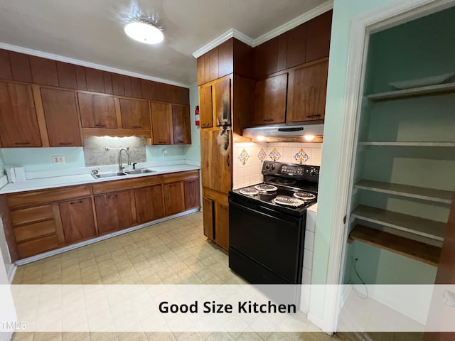 kitchen featuring black range with electric stovetop, ornamental molding, under cabinet range hood, a sink, and light countertops