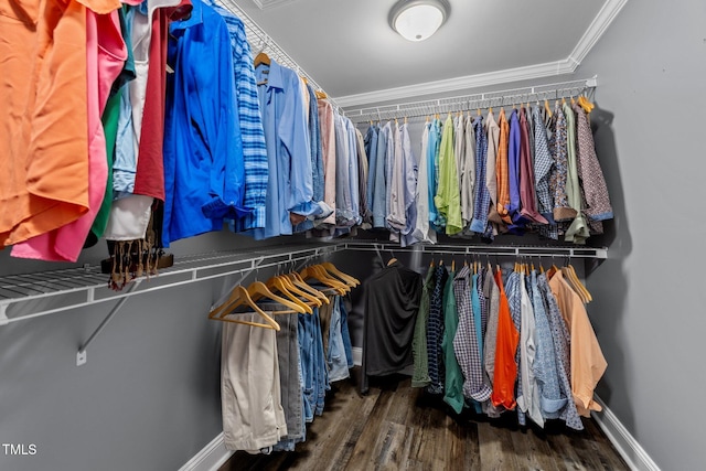 walk in closet featuring wood finished floors