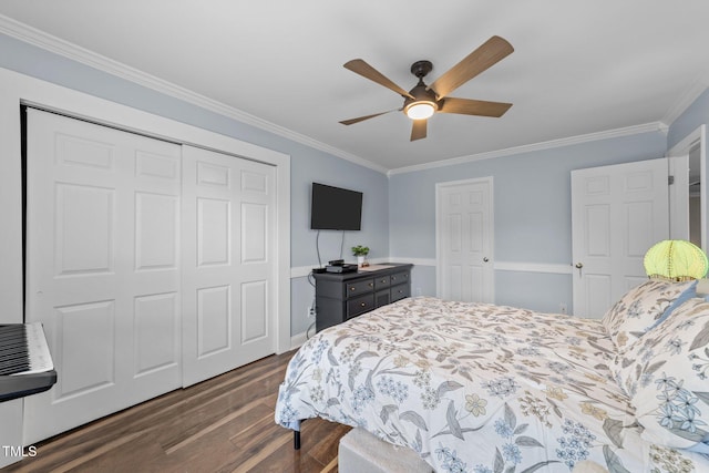 bedroom with ceiling fan, a closet, dark wood-style floors, and ornamental molding