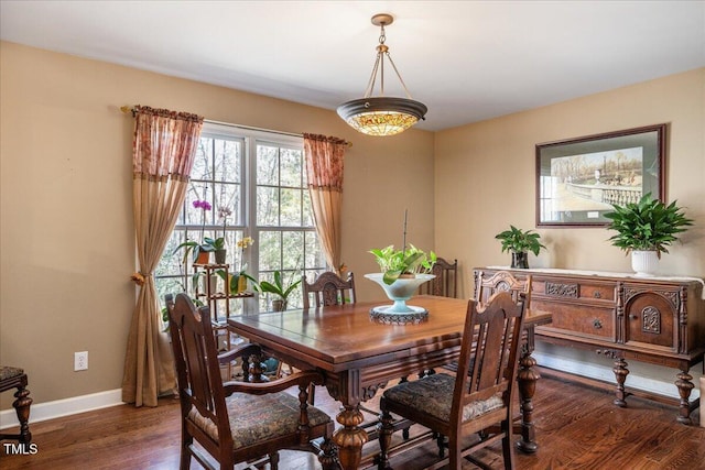 dining area featuring baseboards and wood finished floors