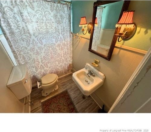 full bathroom featuring toilet, wood finished floors, a sink, and a shower with shower curtain