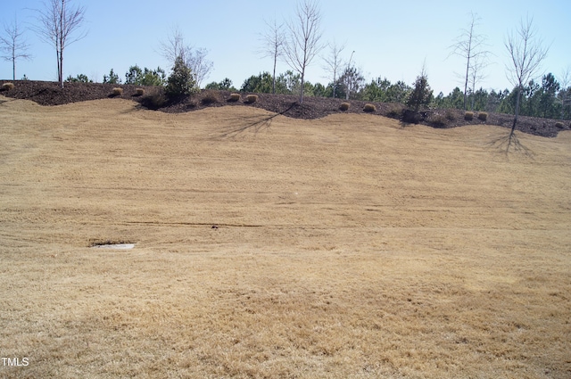 view of yard with a rural view