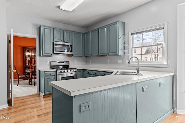 kitchen featuring stainless steel appliances, gray cabinets, light countertops, light wood-style flooring, and a sink