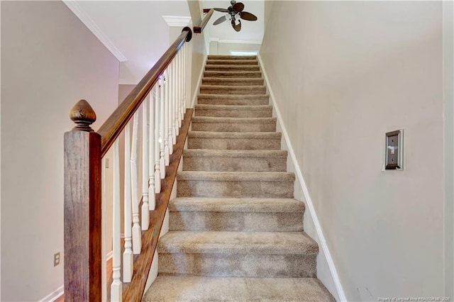 stairway featuring ceiling fan, baseboards, and crown molding