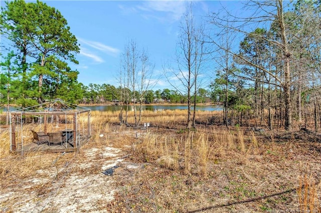 view of yard featuring a water view