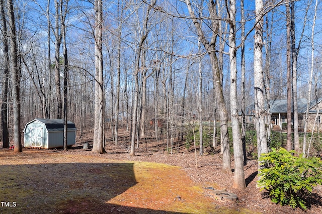 view of yard featuring a storage unit and an outbuilding