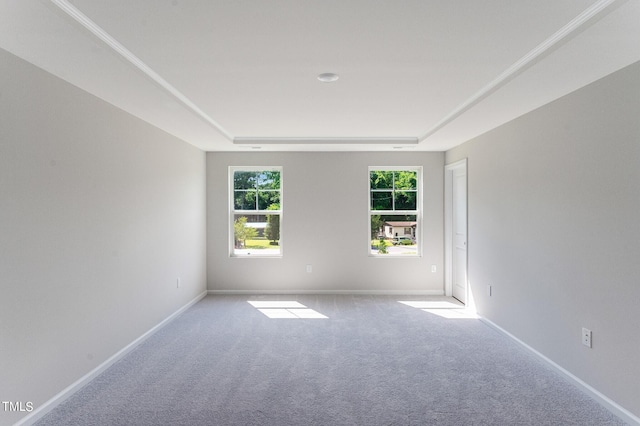 unfurnished room with carpet flooring, a raised ceiling, and baseboards