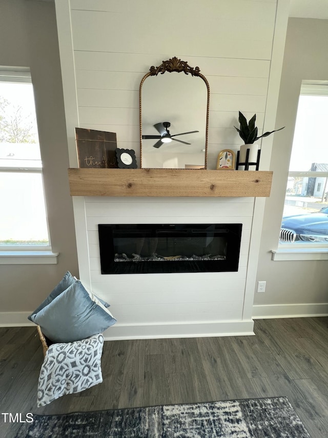 room details with a fireplace, baseboards, and wood finished floors