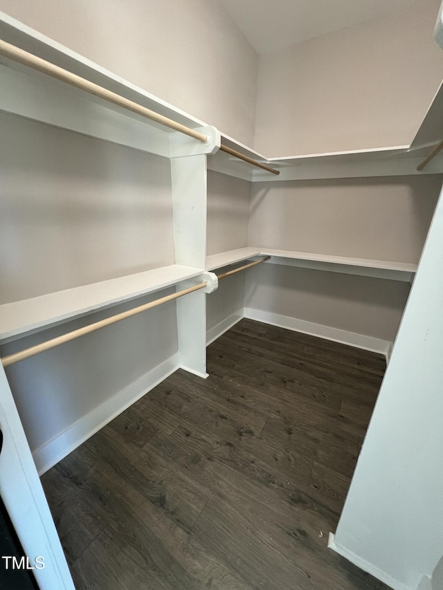 spacious closet featuring dark wood-style flooring