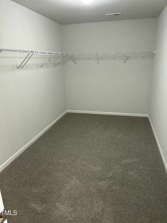 spacious closet with visible vents and carpet floors