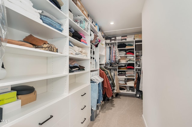 walk in closet with light carpet