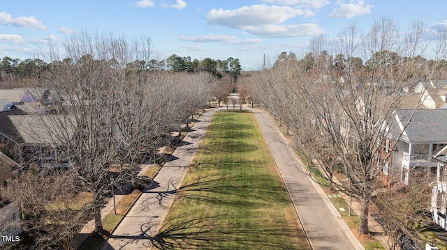 bird's eye view