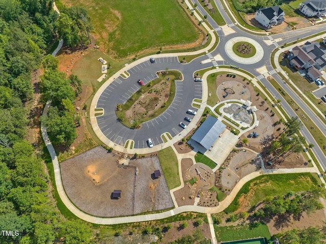 bird's eye view