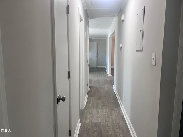 hallway featuring ornamental molding, electric panel, baseboards, and wood finished floors