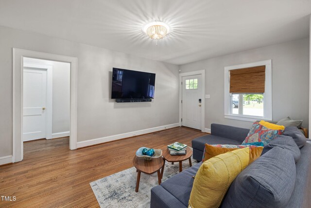 living room with baseboards and wood finished floors